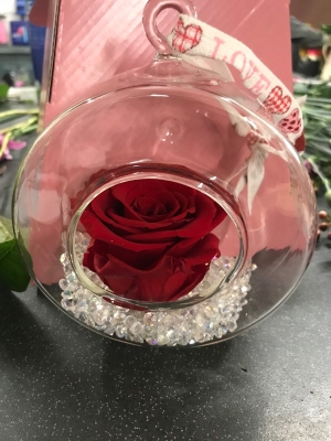 Hanging vase with forever rose