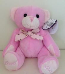 Small Pink Baby Girl Teddy