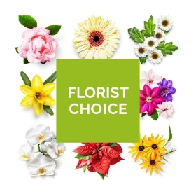 Florist Choice Flowers